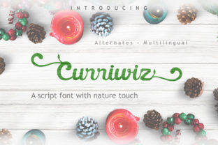 Curriwiz: The Script Font That Elevates Campaign Visuals