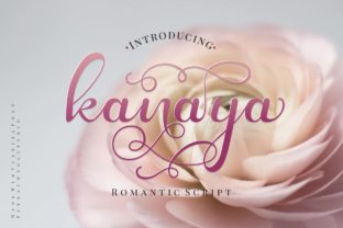 Kanaya: The Modern Script Font for Scroll-Stopping Marketing