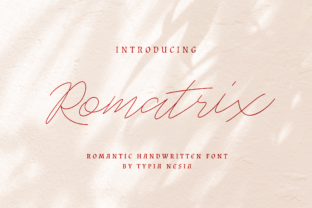 Romatrix Review: A Bold Script for Modern Brand Identity